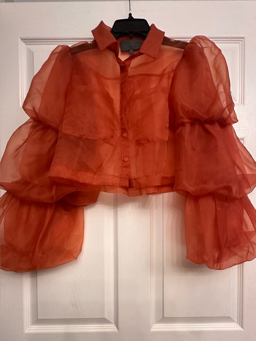 Anthropologie Sunday in Brooklyn Sheer Organza 3-Tier Puff Sleeve Cropped Blouse